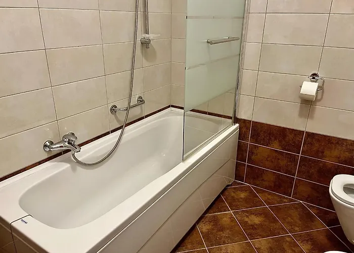 Guest house Casa Menis 3*